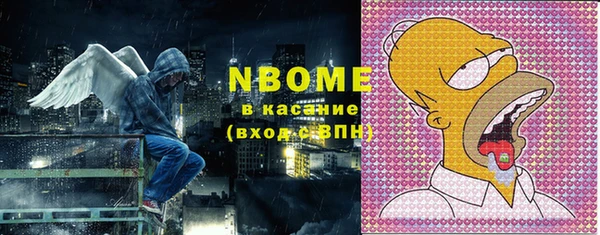 ПСИЛОЦИБИНОВЫЕ ГРИБЫ Вяземский
