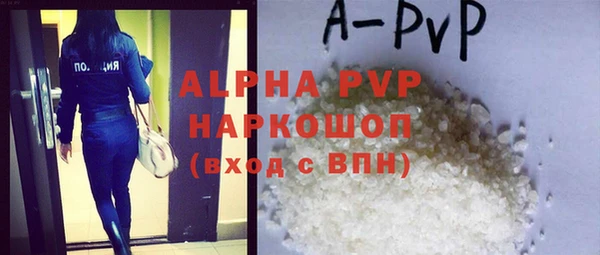 ПСИЛОЦИБИНОВЫЕ ГРИБЫ Вяземский