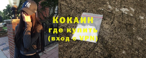 ПСИЛОЦИБИНОВЫЕ ГРИБЫ Вяземский