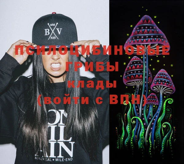 ПСИЛОЦИБИНОВЫЕ ГРИБЫ Вяземский
