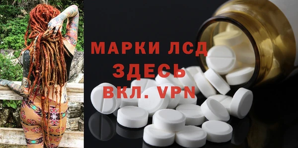 ПСИЛОЦИБИНОВЫЕ ГРИБЫ Вяземский